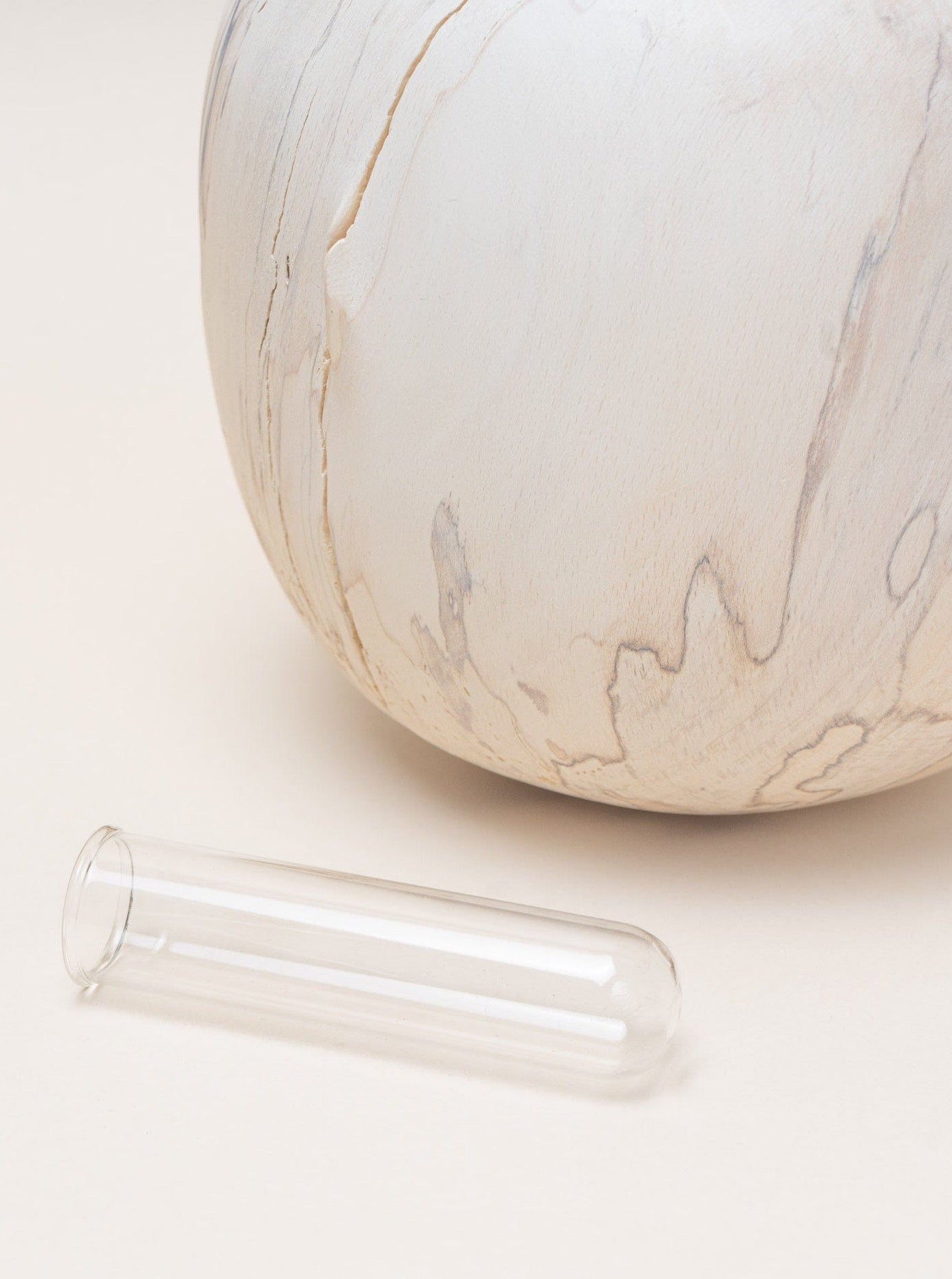 A minimalist white bowl accompanied by a Jume Spalted Wood Vase - Large.